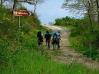07/07/2013 - VIA FRANCIGENA: EUROPEAN FESTIVAL