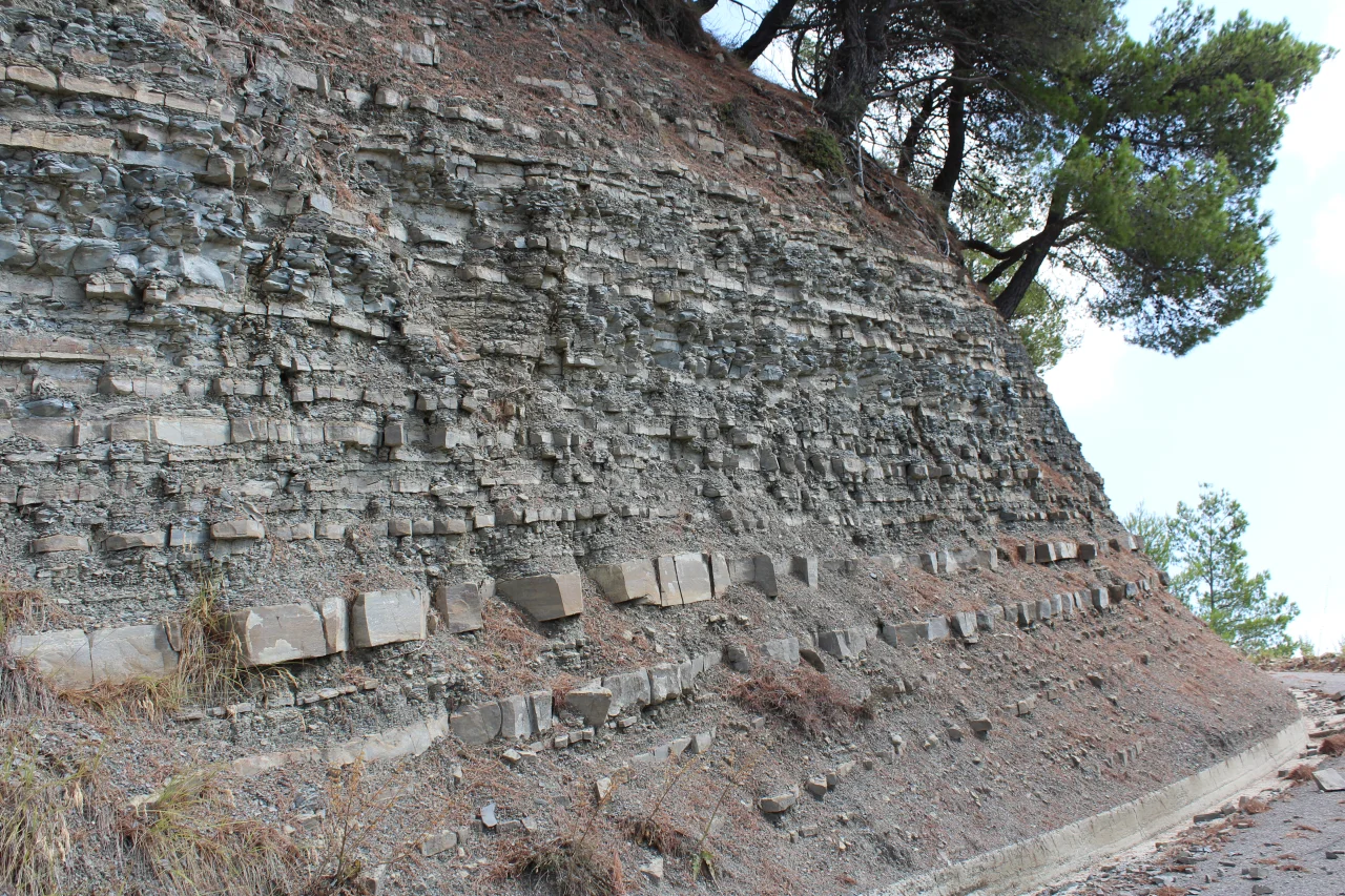 Albidona